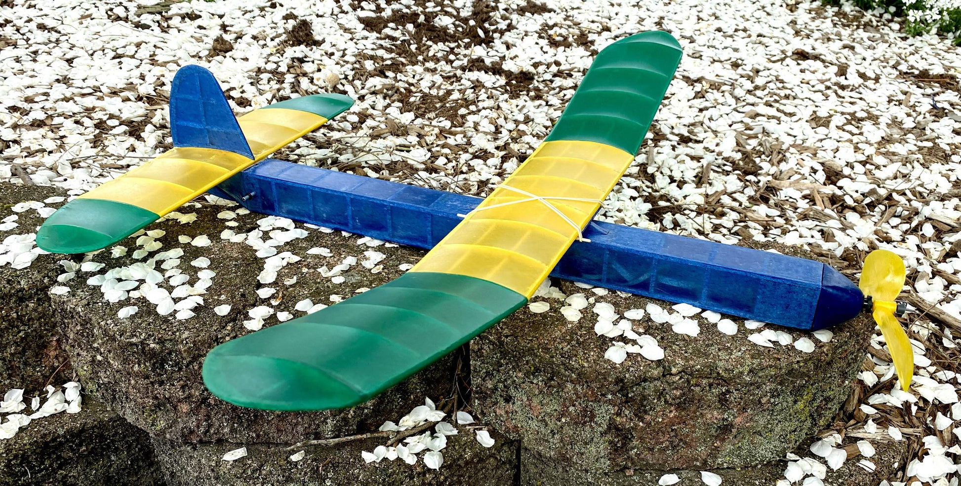 345512273_1594392471045029_304650653607475193_n